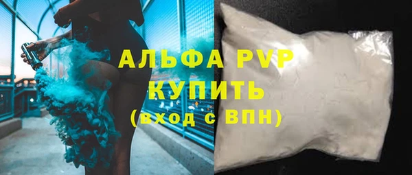 ECSTASY Инсар