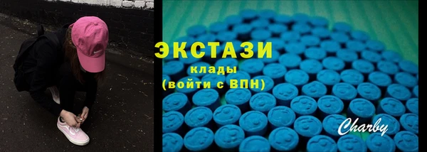 ECSTASY Инсар