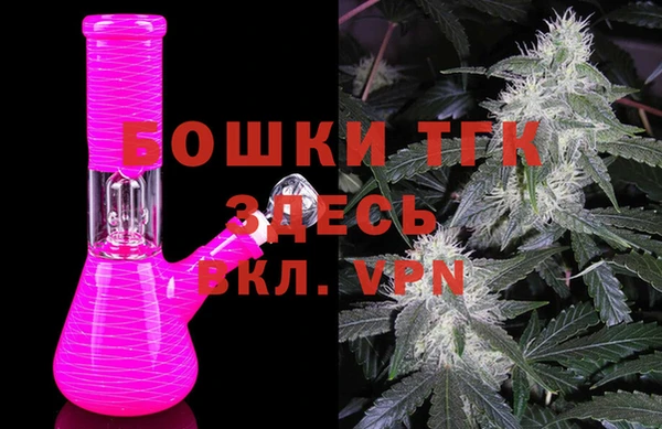 ECSTASY Инсар