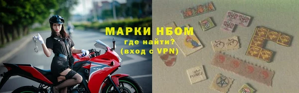 ECSTASY Инсар