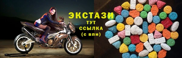 ECSTASY Инсар