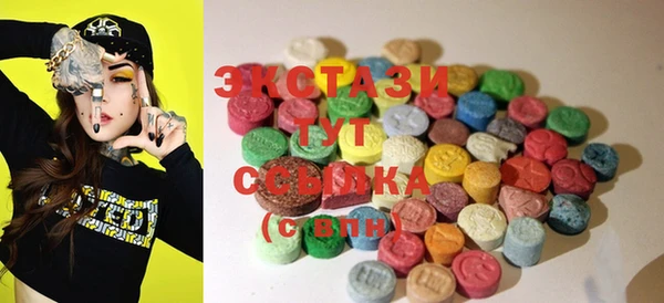 ECSTASY Инсар